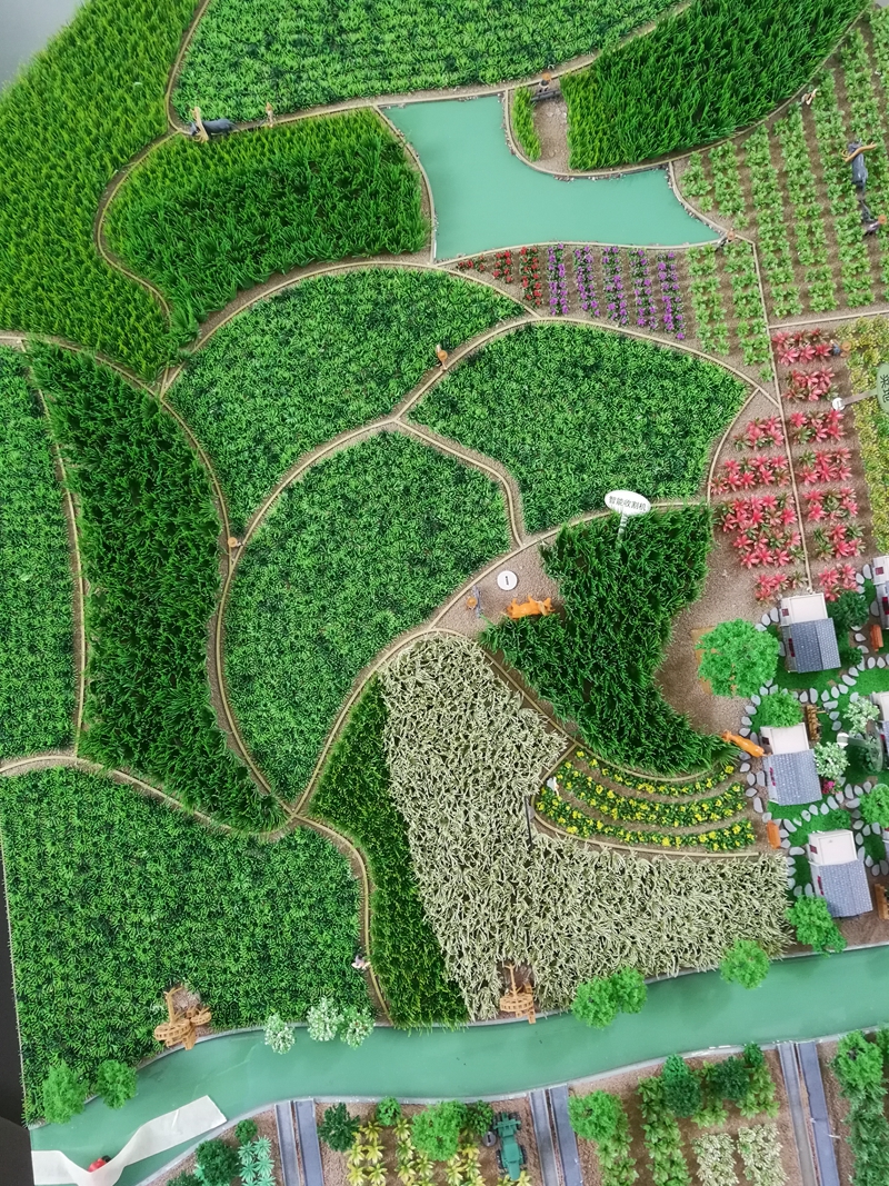 农业模型4.jpg